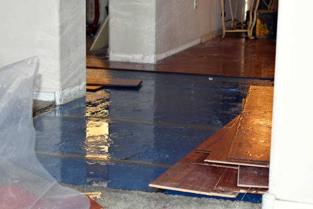Professional Basement Water Removal technician working in Maurice, LA